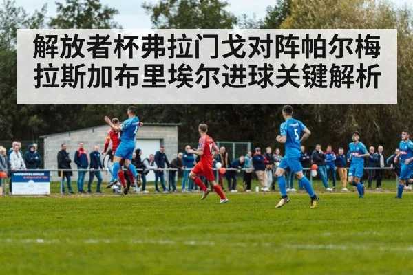 解放者杯弗拉门戈对阵帕尔梅拉斯加布里埃尔进球关键解析 | kaiyun
